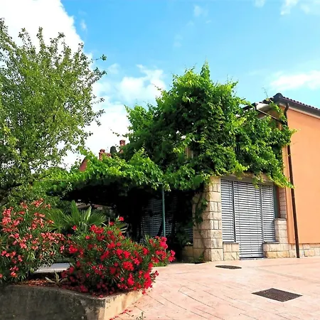 Apartament Cic *